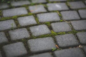 Brukarstwo - kompleksowe usługi brukarskie - Zabrze 1 kostka brukowa Zabrze usługi brukarskie